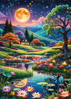 Full Moon at Night Puzzel (500 stukjes)-2