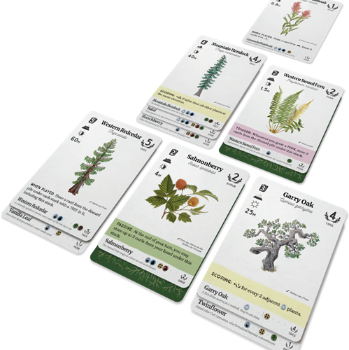 Reforest - Kaartspel (NL)-3