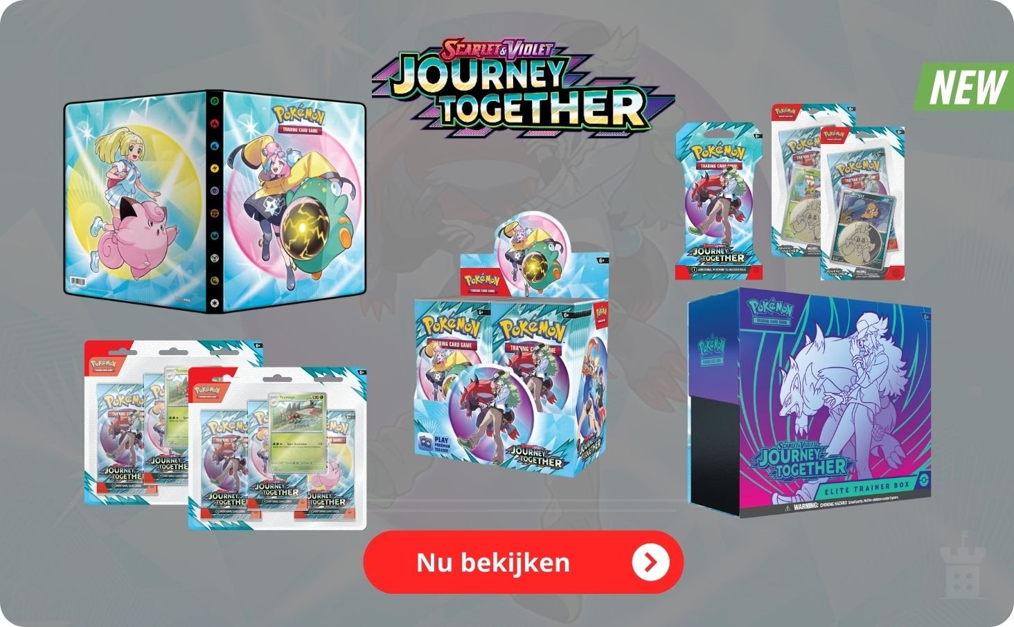 Pokemon Journey Together TCG set