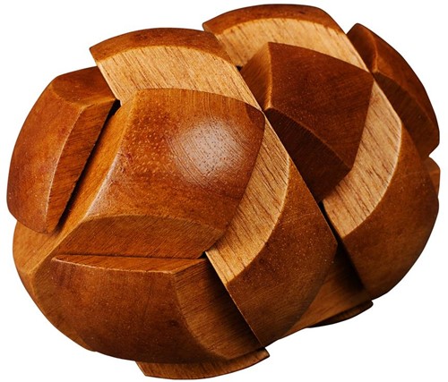 Great Minds - Darwin's Egg of Evolution Puzzel-2