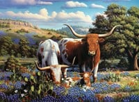 Loving Longhorns Puzzel (500 stukjes)-2