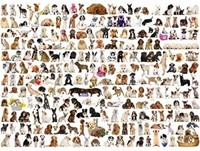 The World of Dogs Puzzel (1000 stukjes)-2