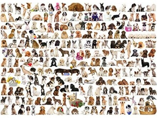 The World of Dogs Puzzel (1000 stukjes)-2