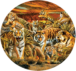 Lori Schory Tigers Galore Puzzel (500 XXL stukjes)