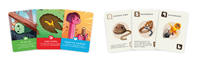 Happy Little Dinosaurs (NL versie)-3