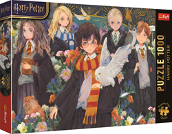 Harry Potter Puzzel (1000 stukjes)