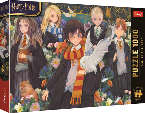Harry Potter Puzzel (1000 stukjes)