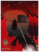 Harry Potter Horcrux Puzzel (1000 stukjes)-2