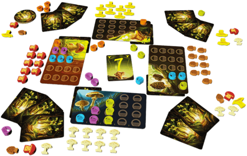 Wonder Woods - Bordspel-2